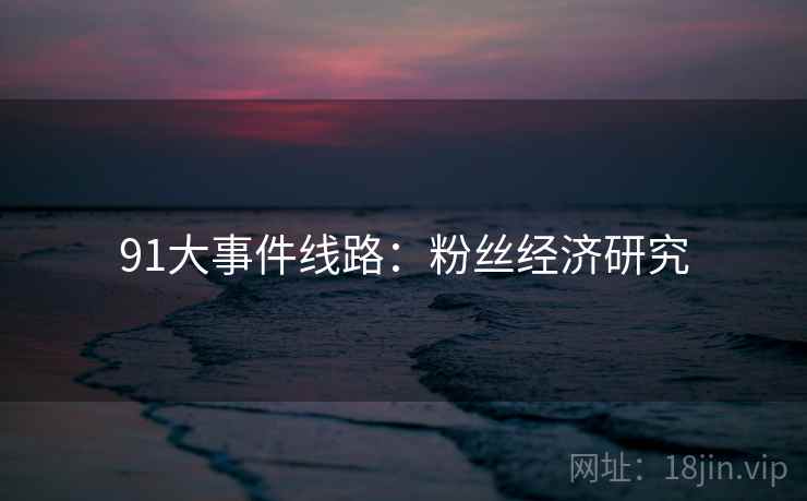 91大事件线路：粉丝经济研究