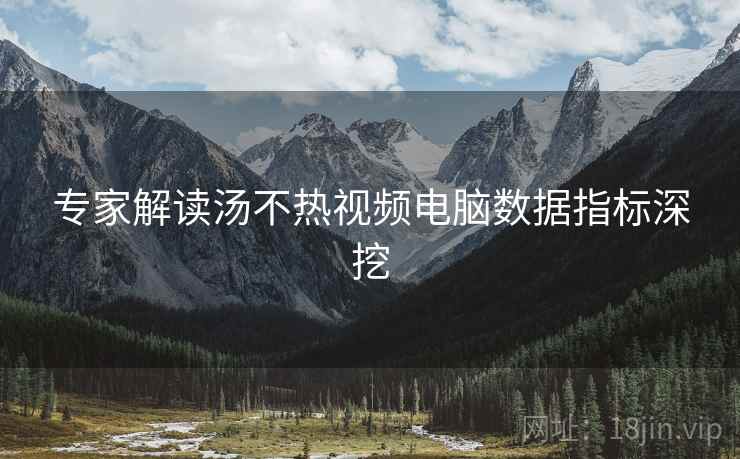 专家解读汤不热视频电脑数据指标深挖