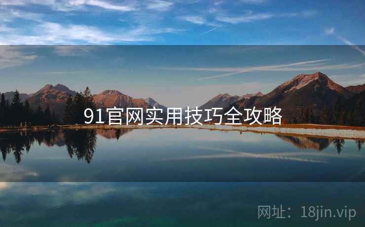 91官网实用技巧全攻略