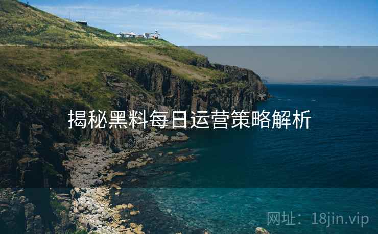 揭秘黑料每日运营策略解析