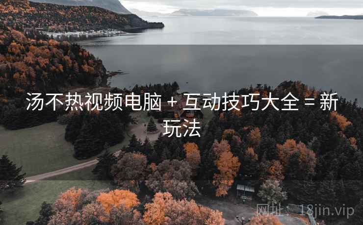 汤不热视频电脑 + 互动技巧大全 = 新玩法