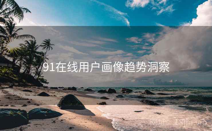 91在线用户画像趋势洞察