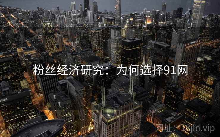 粉丝经济研究：为何选择91网