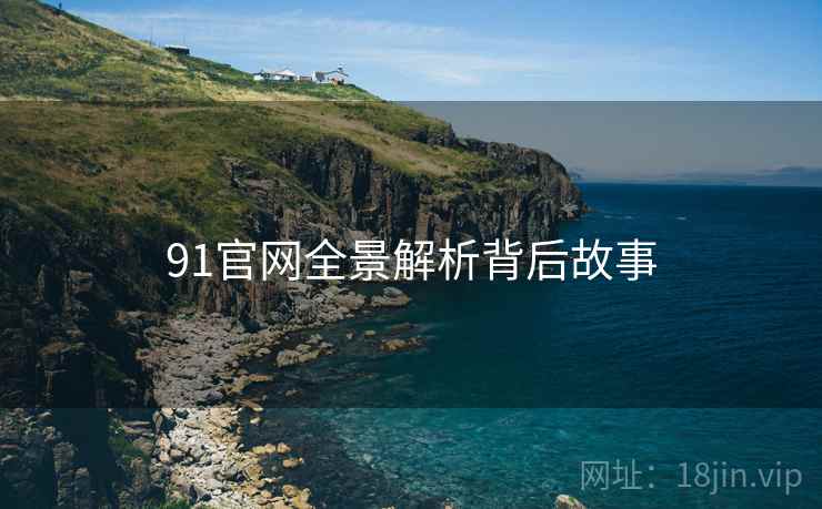 91官网全景解析背后故事