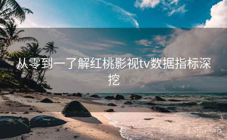 从零到一了解红桃影视tv数据指标深挖