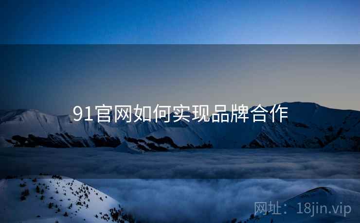 91官网如何实现品牌合作