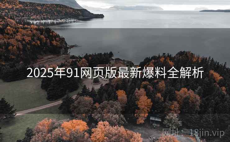 2025年91网页版最新爆料全解析