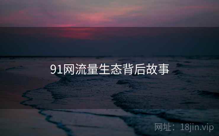 91网流量生态背后故事