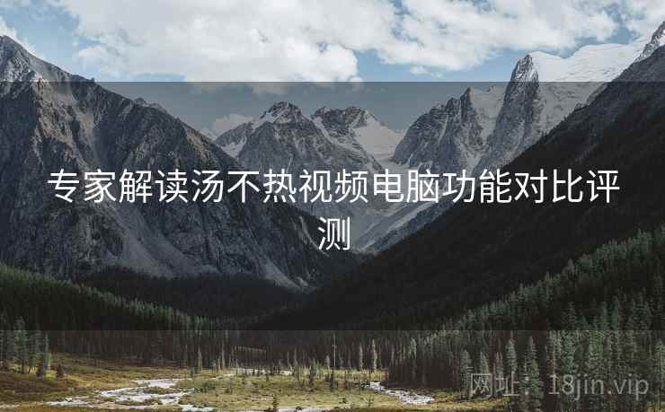 专家解读汤不热视频电脑功能对比评测