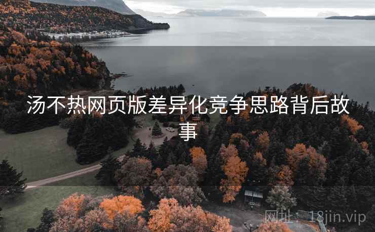汤不热网页版差异化竞争思路背后故事